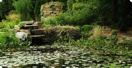 On Danilo Pond